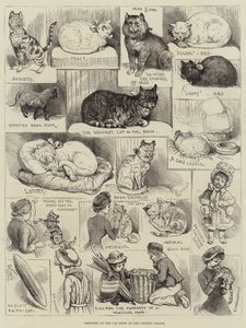 クリスタルパレスでのキャットショーのスケッチ